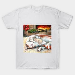 The Fairy Sitter T-Shirt